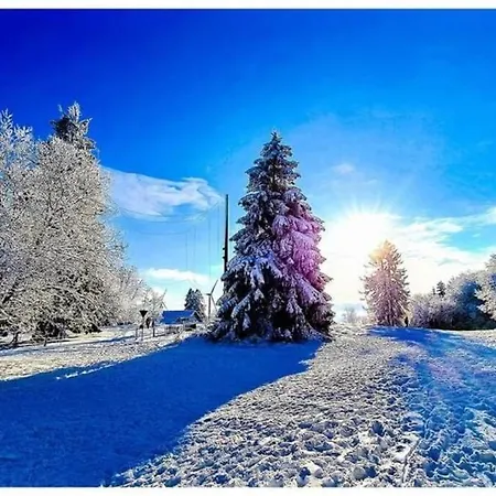 Holiday home Casita - Sterneferienhaus Mit Garten, Sauna Und Wallbox *